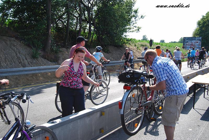 Stilleben A40 vom 19.06.2010-073.jpg